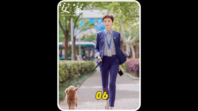 都市剧《安家》孙俪主演 06#经典影视考古计划