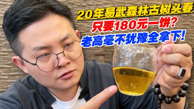 普洱茶:2020年易武森林古树头春,只要180元一饼?老高毫不犹豫全拿下!