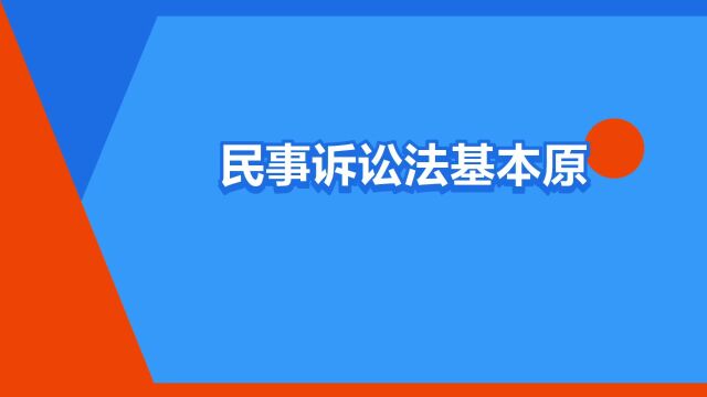 “民事诉讼法基本原则”是什么意思?