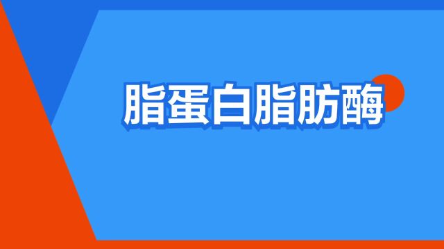 “脂蛋白脂肪酶”是什么意思?