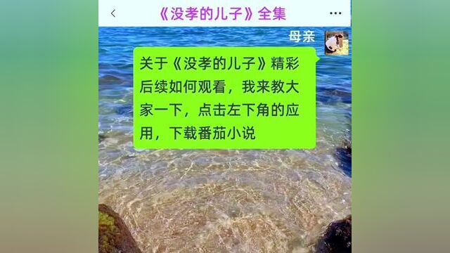 《没孝的儿子》全集#番茄小说