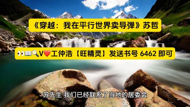 《穿越:我在平行世界卖导弹》苏哲全文在线阅读◇无广告