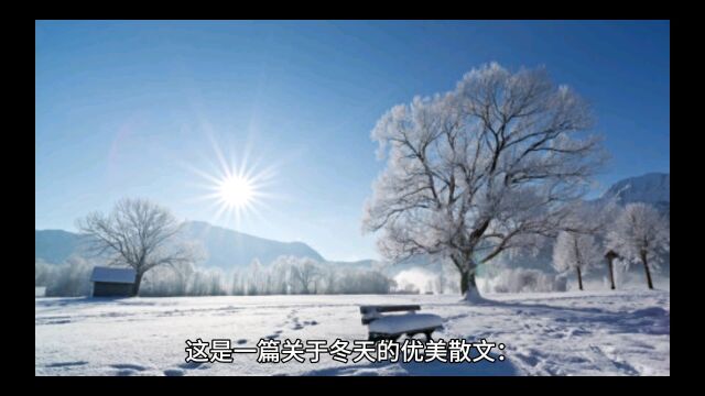 冬天来了,你哪里下雪了吗