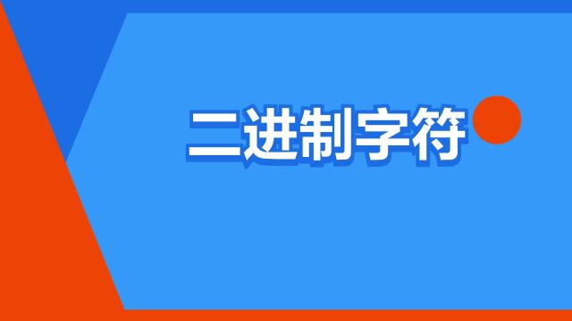 “二进制字符”是什么意思?