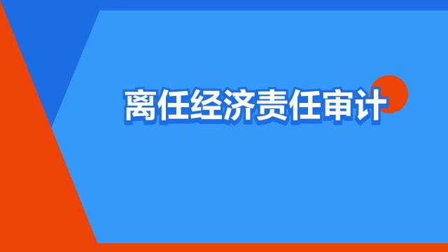 “离任经济责任审计”是什么意思?