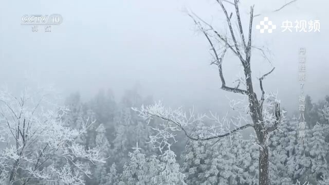 八家寨突然的下雪,让许多人有疑惑,专家根据地理图立马给出答案