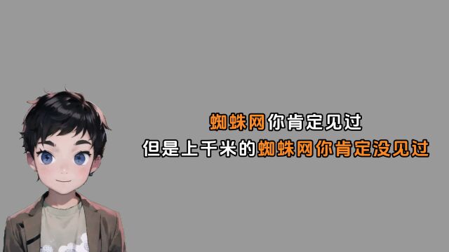 禁止废话:蜘蛛网你肯定见过,但是上千米的蜘蛛网你肯定没见过