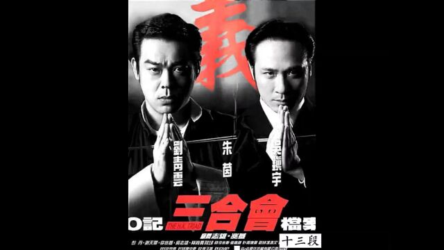 《十三段》雷洛和跛豪的成长史《三合会档案》#经典港片 #影视解说 #刘青云 #吴镇宇 #朱茵