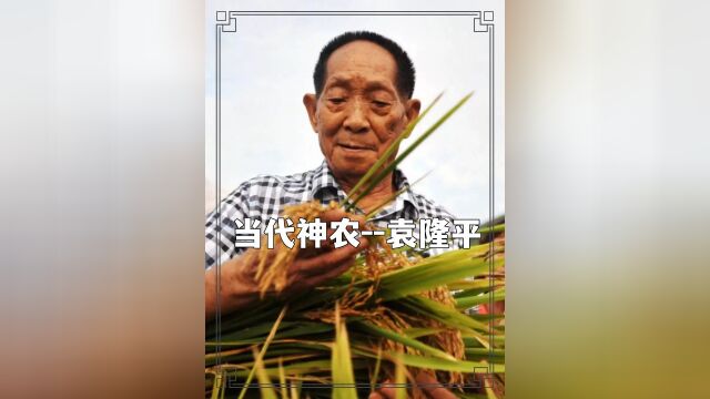 凭一己之力养活14亿国人,一粥一饭当思袁公!