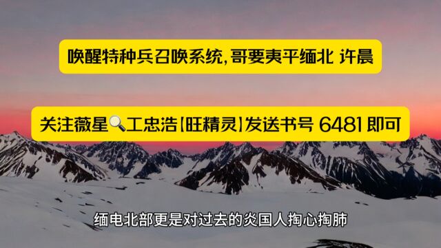 热书推荐《唤醒特种兵召唤系统,哥要夷平缅北》许晨◆全文阅读