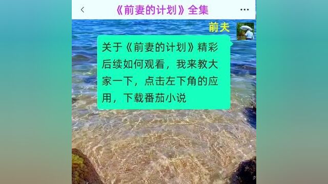 《前妻的计划》全集#番茄小说