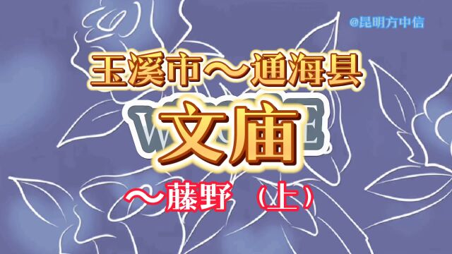 玉溪市~通海县 文庙~藤野(上)