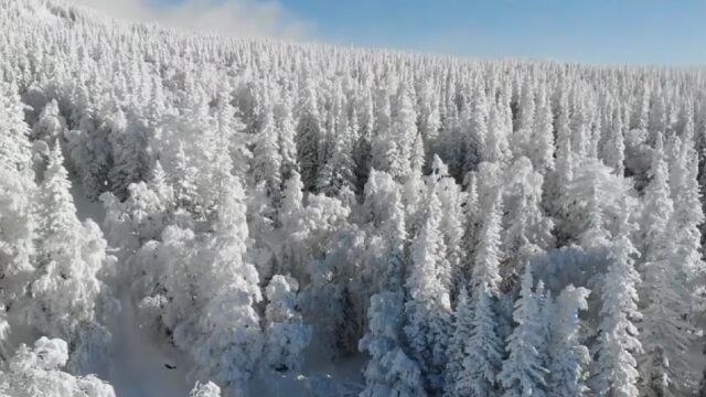 雪景大赏:大自然的寂静和秀丽配上治愈的音乐太舒服了