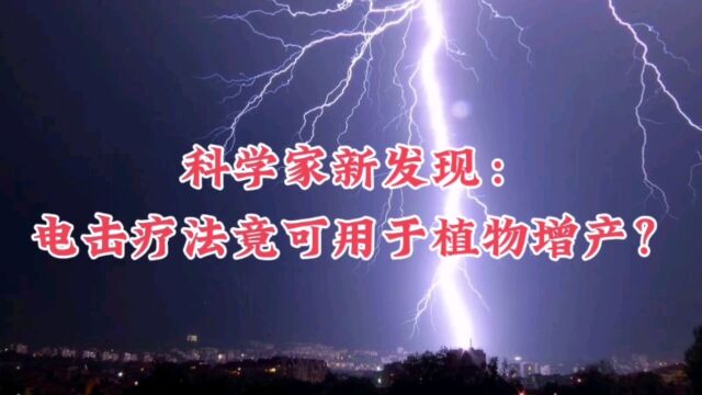 科学家新发现:电击疗法无法戒除孩子网瘾,但可为农作物增产?