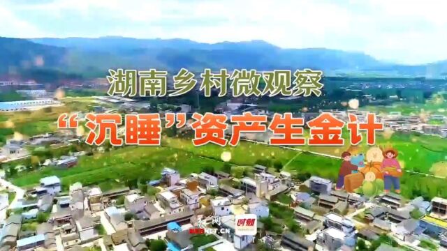 乡村“沉睡”资产生金计丨益阳赫山区:以改革“唤醒”土地的“第101种可能性”