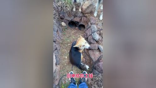 今天就差一点点，媳妇就发现了我的秘密基地……