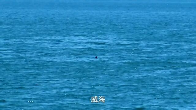 威海的美食诱惑之炸海蟹、鱼锅饼子、红烧海参、爆炒天鹅蛋