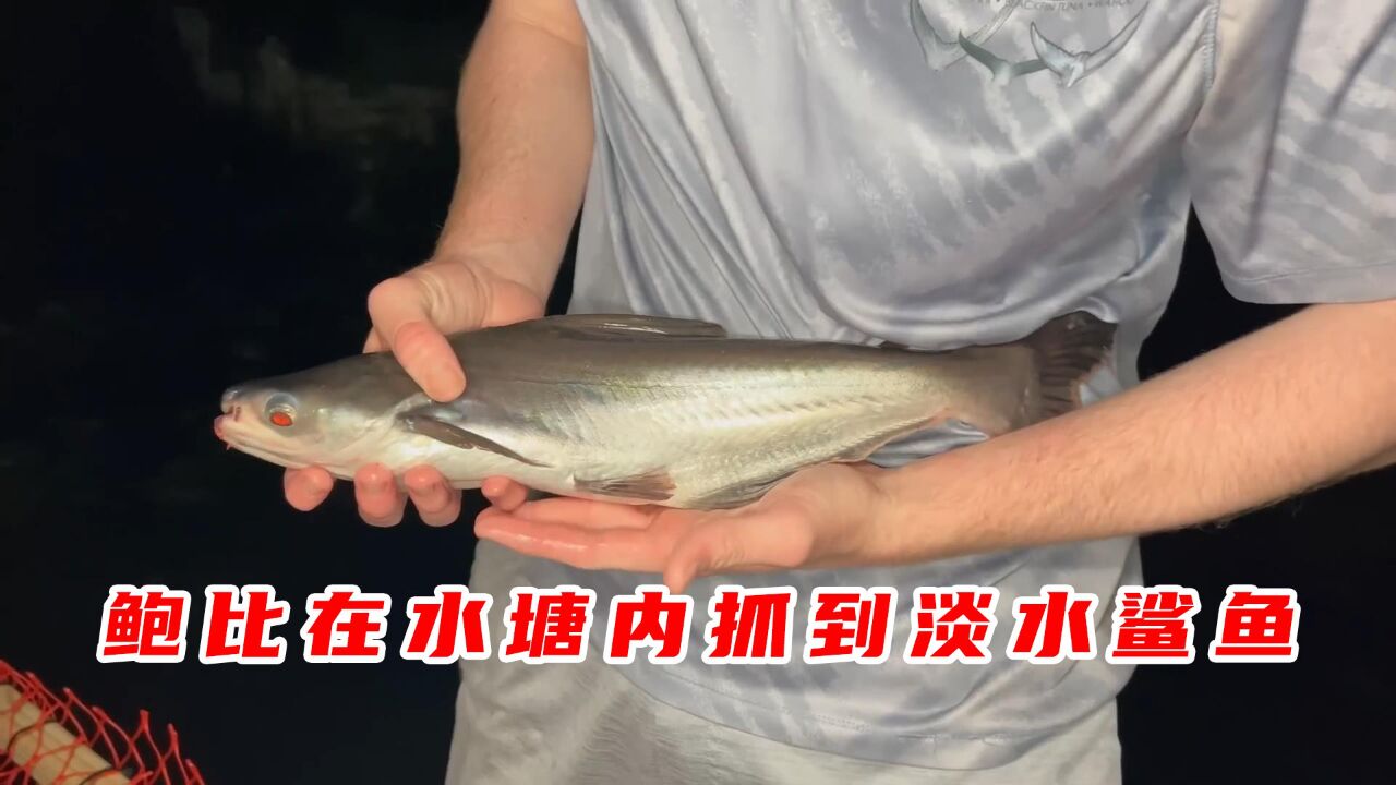鲍比为了捕获神秘大鱼竟然做了一个超大捕鱼笼_高清1080P在线观看平台_腾讯视频