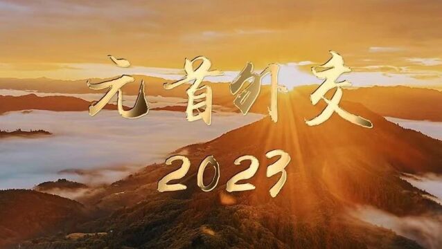 登高壮观天地间——以习近平同志为核心的党中央引领全面建设社会主义现代化国家迈上新征程