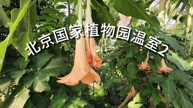 北京国家植物园温室2