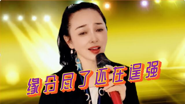 一首DJ情歌《缘分尽了还在逞强》歌声伤感,旋律动感,醉人心扉