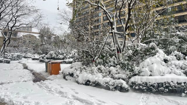 河南2024年第一场雪何时到?气象专家最新解读