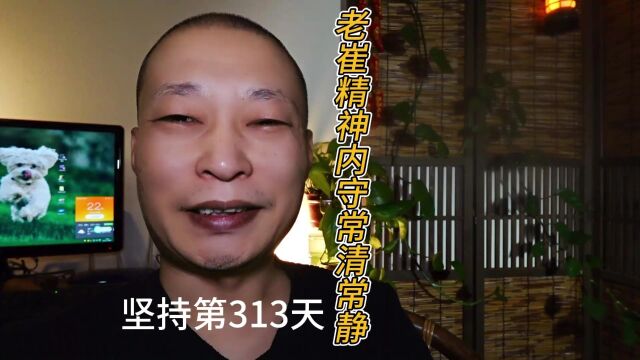 坚持第313天!老崔精神内守到达一个新的阶段,能够常清常静有收获