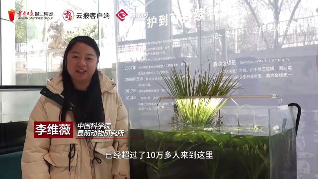 接续奋斗 把总书记交办的事情办好丨奋力谱写美丽中国建设云南新篇章