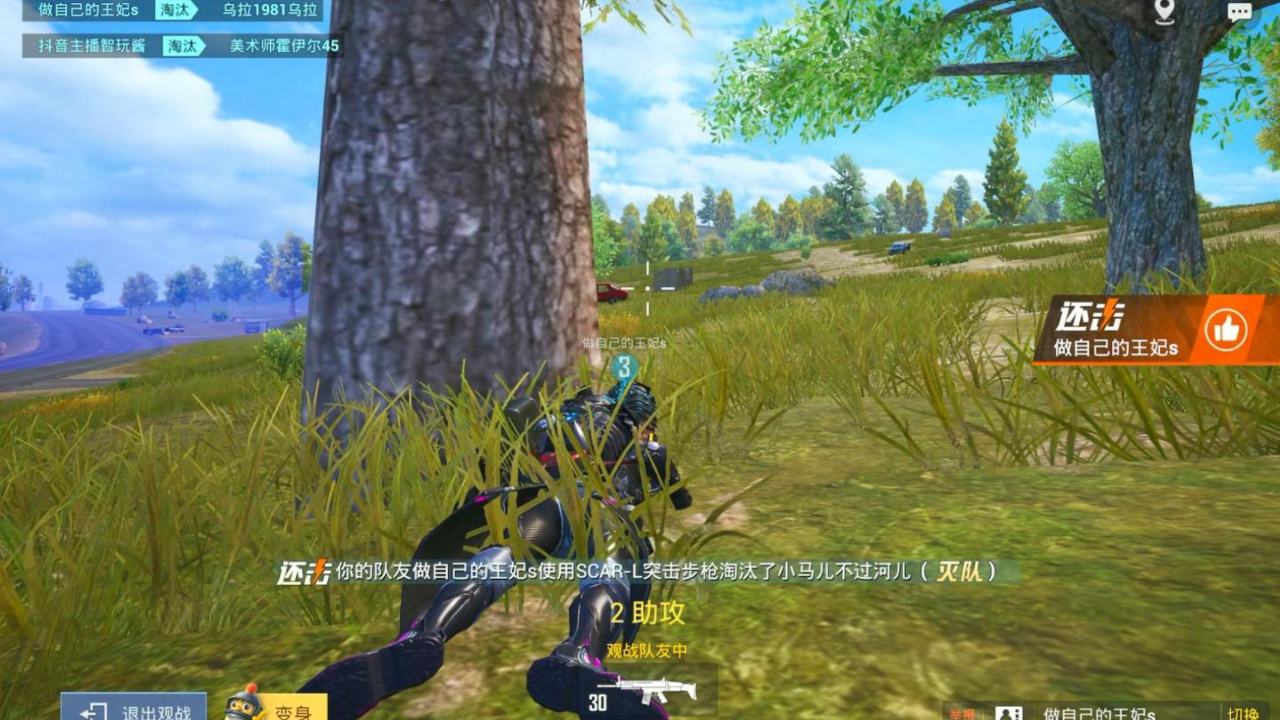 和平精英:主播和粉丝成盒后,王妃发威伏地枪法灭队