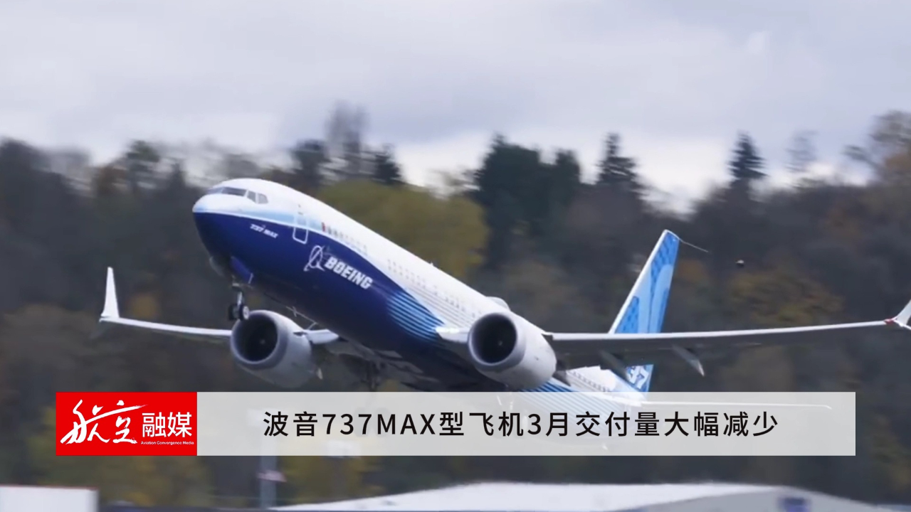 波音737-800max图片