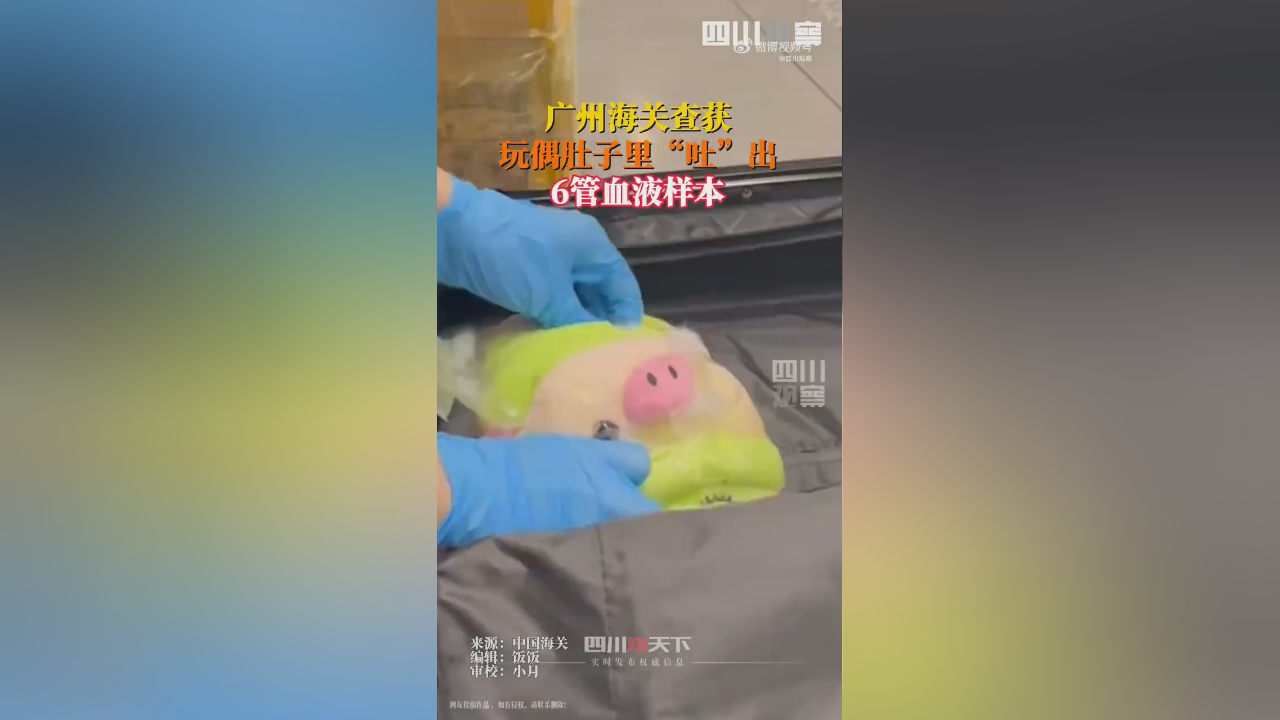 广州海关玩偶中查获6管血液样本