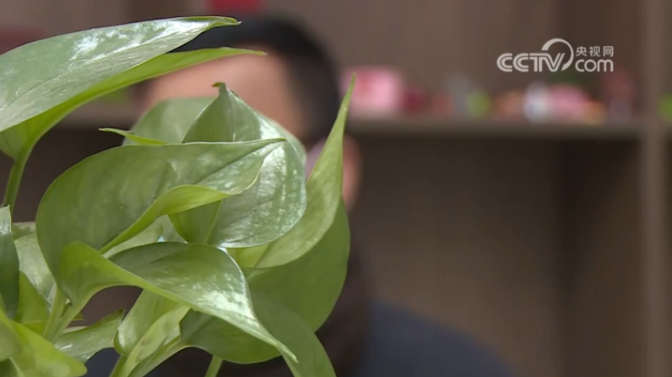 儿子去世了,儿媳要分遗产,该如何决断