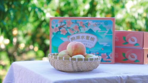 阳湖水蜜桃"白富美"白凤