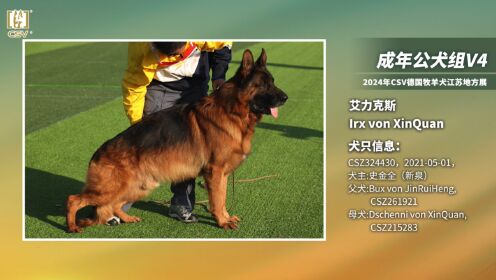 csv德国牧羊犬血统证书图片