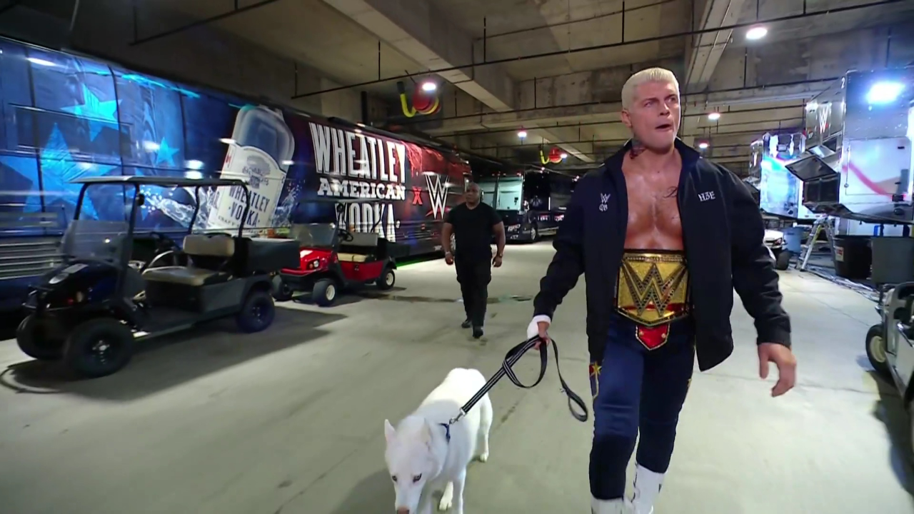 wwe 夏季狂潮大赛2024丨科迪罗兹牵着狗狗入场,这是真的大狗