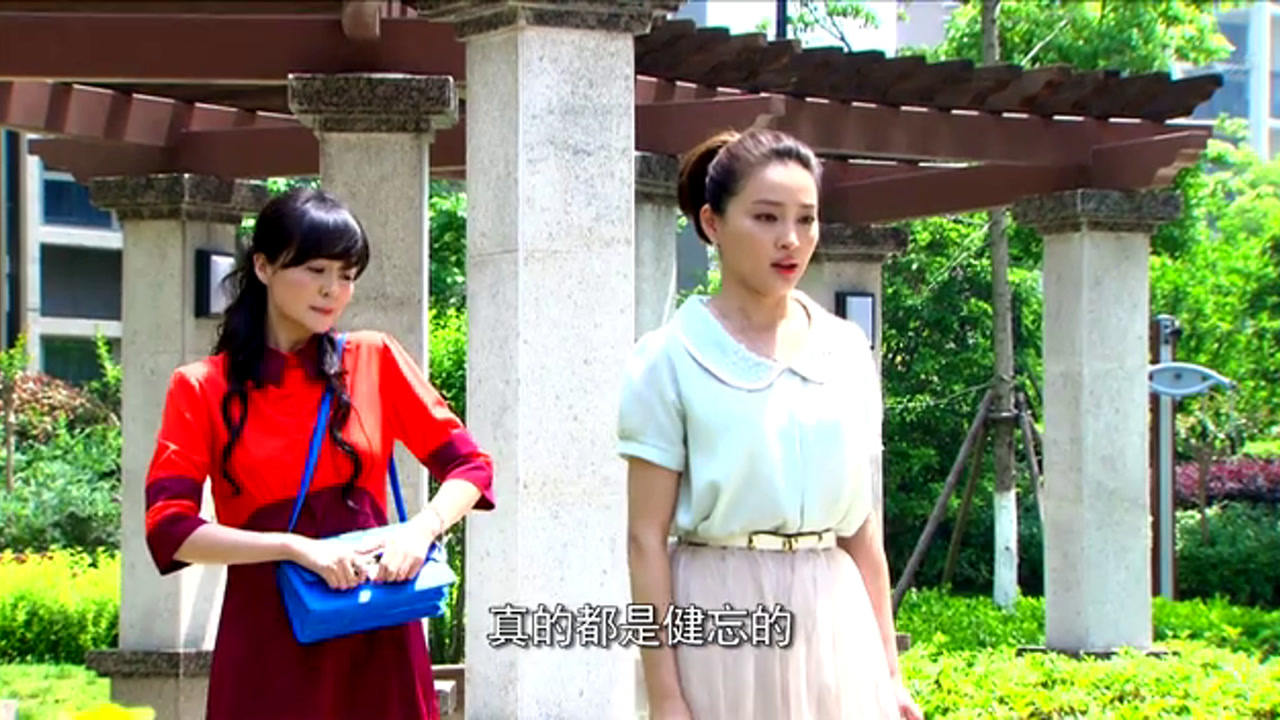 幸福媳妇成长记 2集