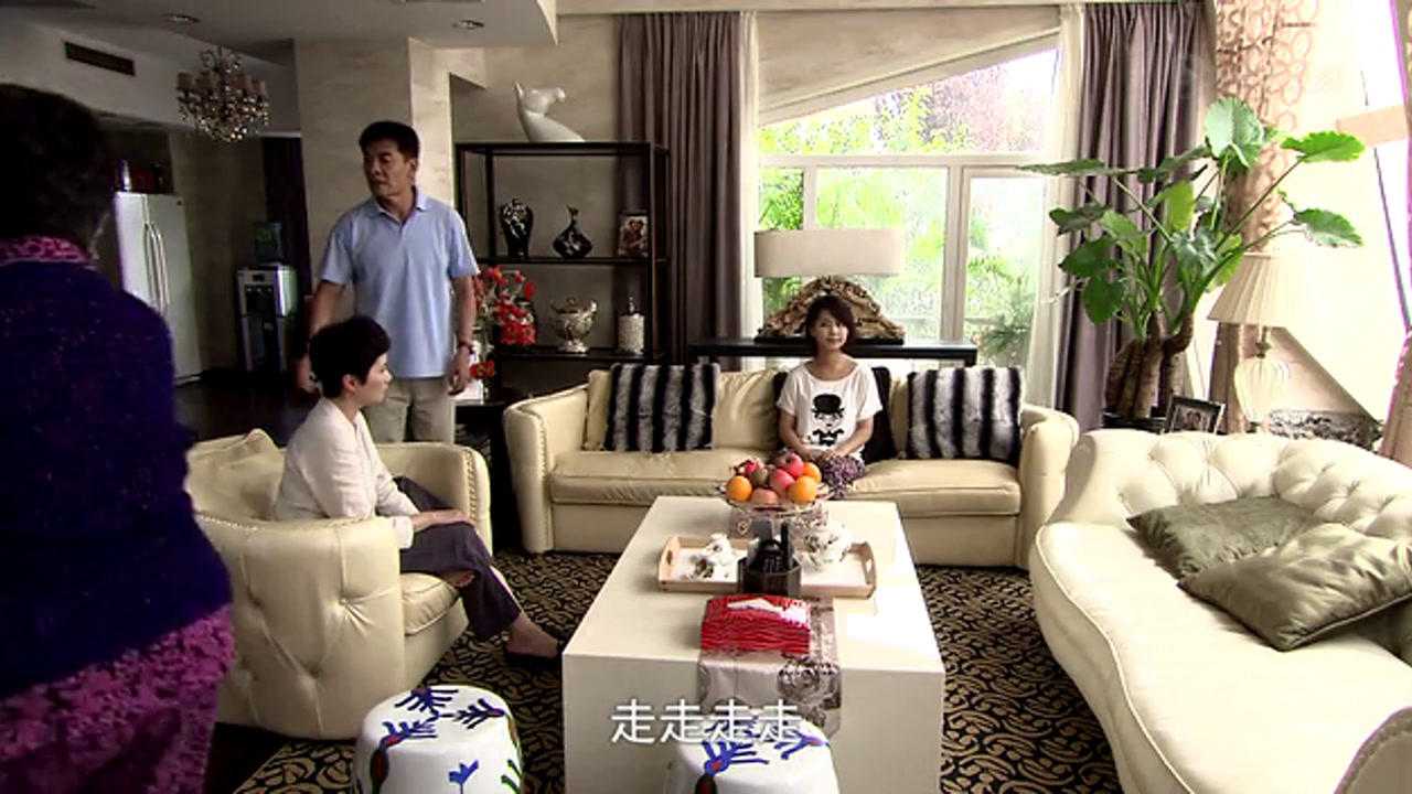 老爸回家 17集