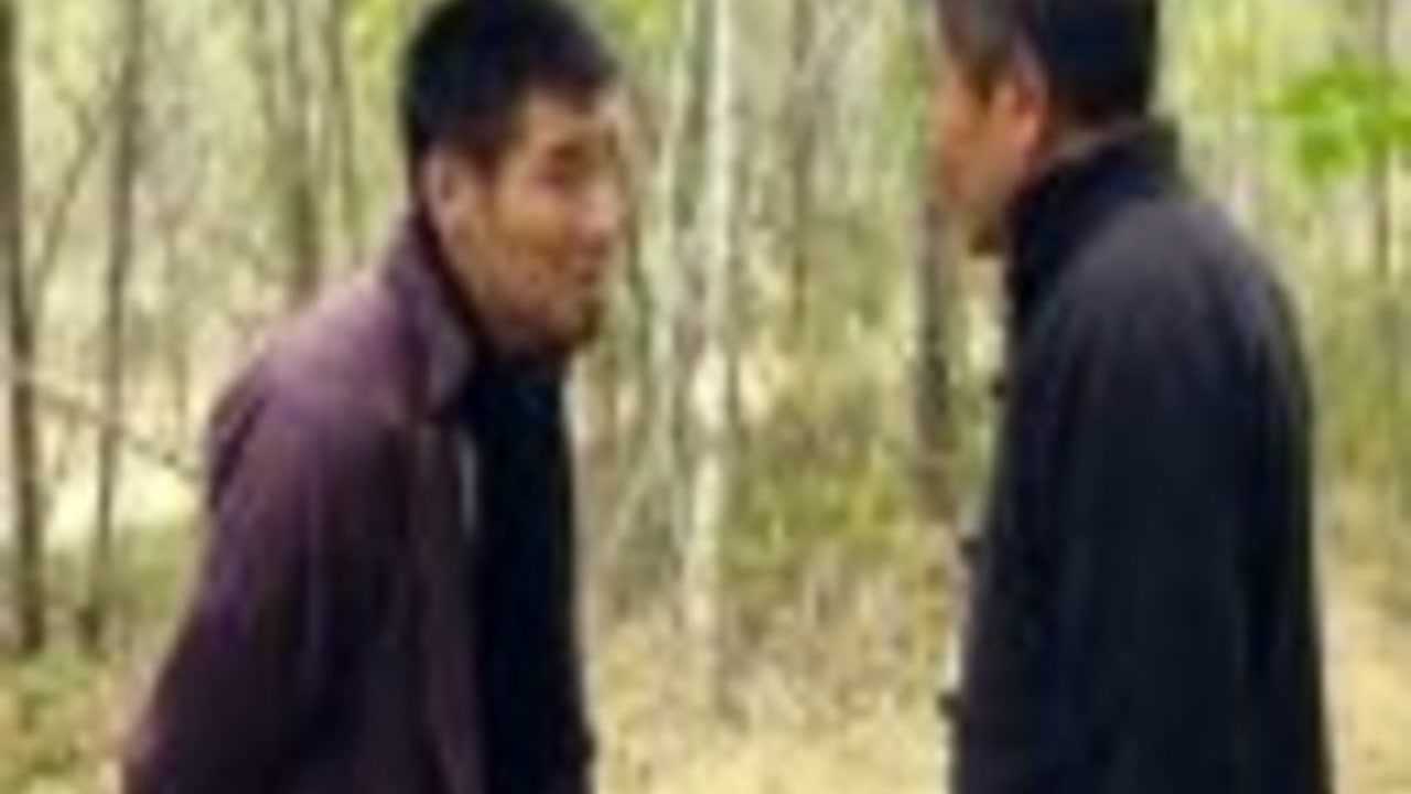 我的铁血金戈梦 15集
