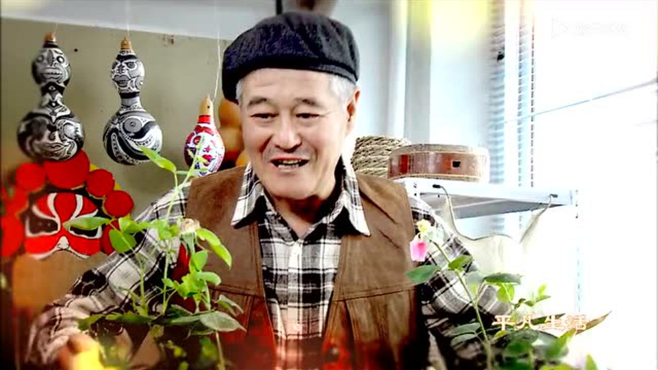 不是钱的事 17集