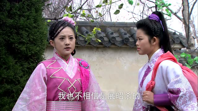 包青天之七侠五义 34集