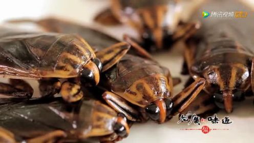 广东有种食物长得像大蟑螂，但据说美味又保健！