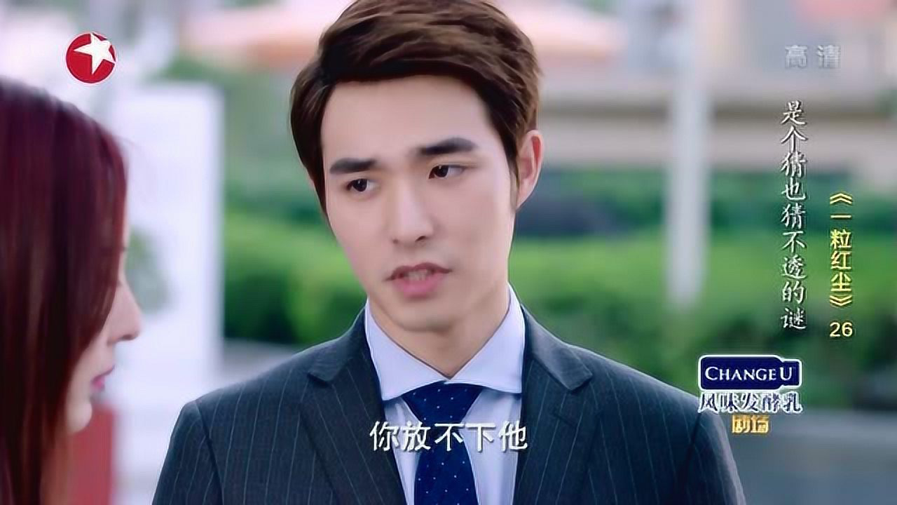 一粒红尘 26集