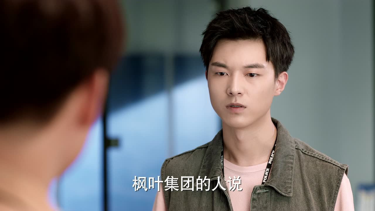 青春警事 36集