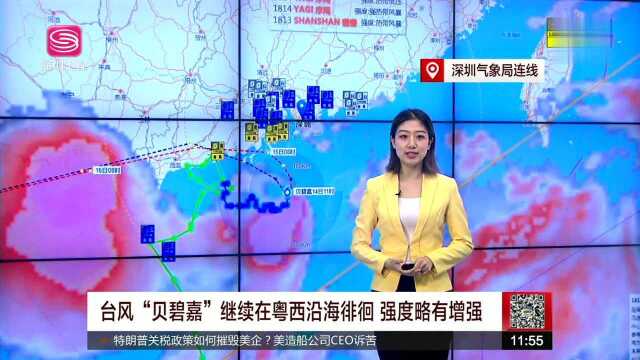 广东信宜 暴雨引发山洪 安全转移7802人