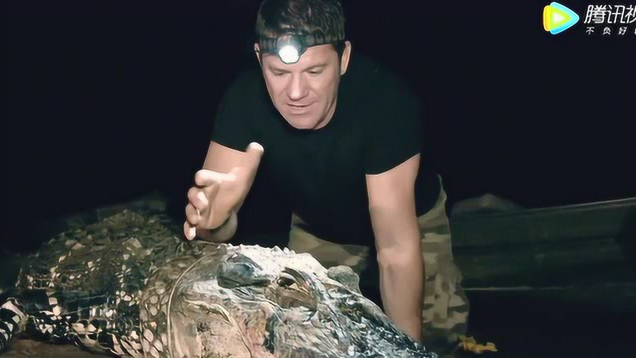 播放列表为你推荐46:53第1集:与巨蜥赛跑46:38第2集:鳄鱼捕食电鳗46