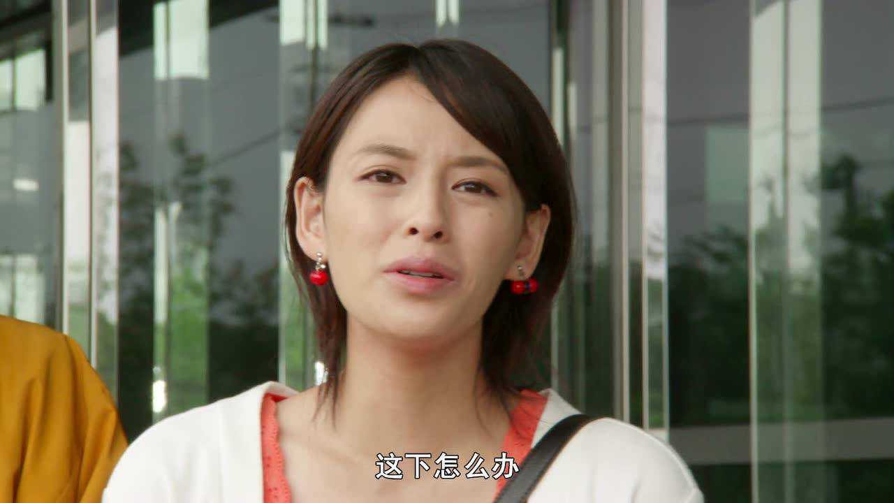假面骑士灵骑[普通话版] 44集