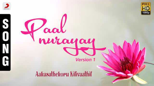 Paal Nurayay  Version, I (Pseudo Video)