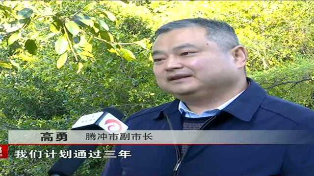 建设中国最美丽省份 腾冲:积极实践“绿水青山就是金山银山”