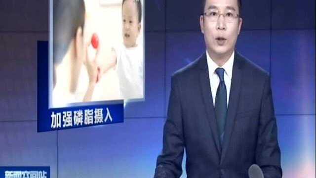 科研最新验证:脑磷脂群是大脑发育关键营养——专家建议婴幼儿应重点加强磷脂射入