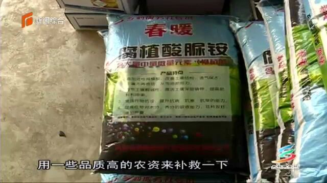 小麦追肥要讲究 腐殖酸脲铵助丰收